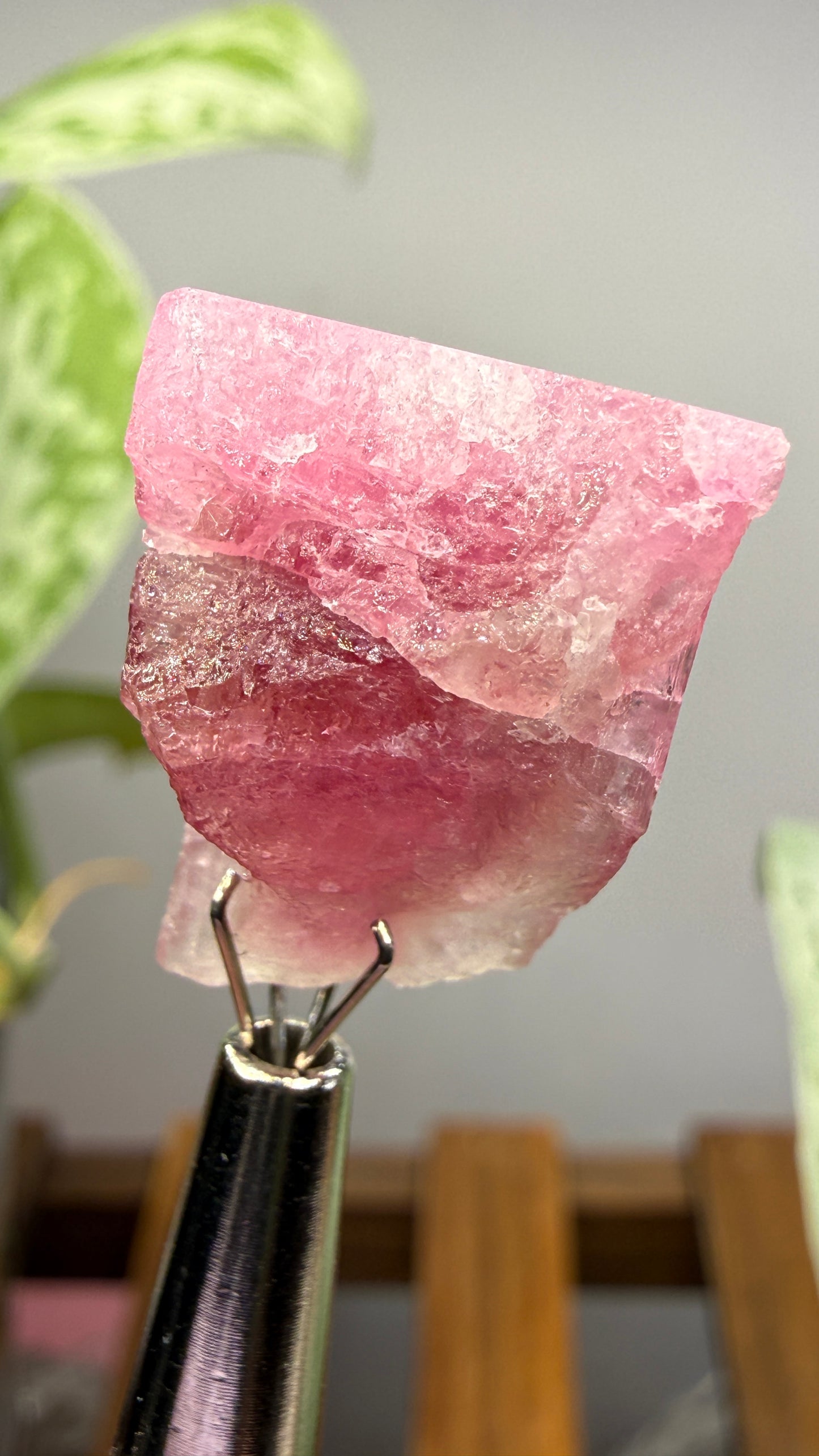 Tourmaline- Água Branca pegmatite, Barra do Salinas, Coronel Murta, Minas Gerais, Brazil