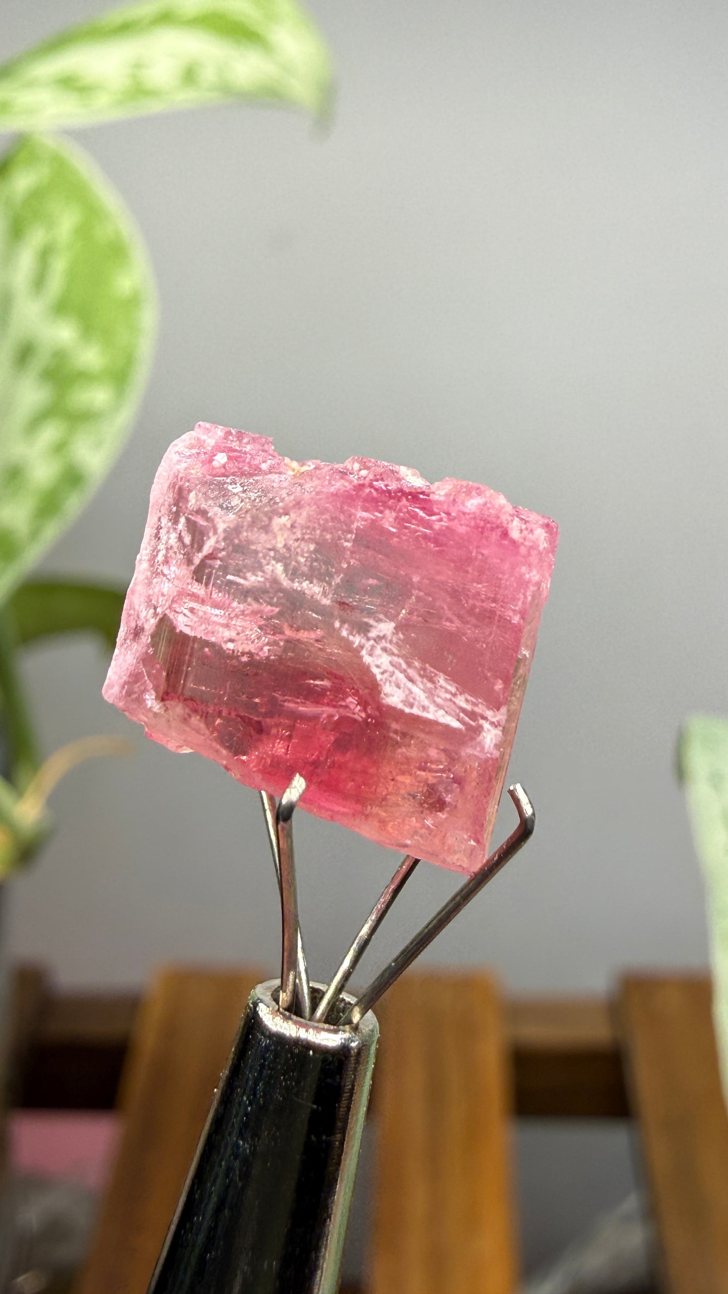 Tourmaline- Água Branca pegmatite, Barra do Salinas, Coronel Murta, Minas Gerais, Brazil