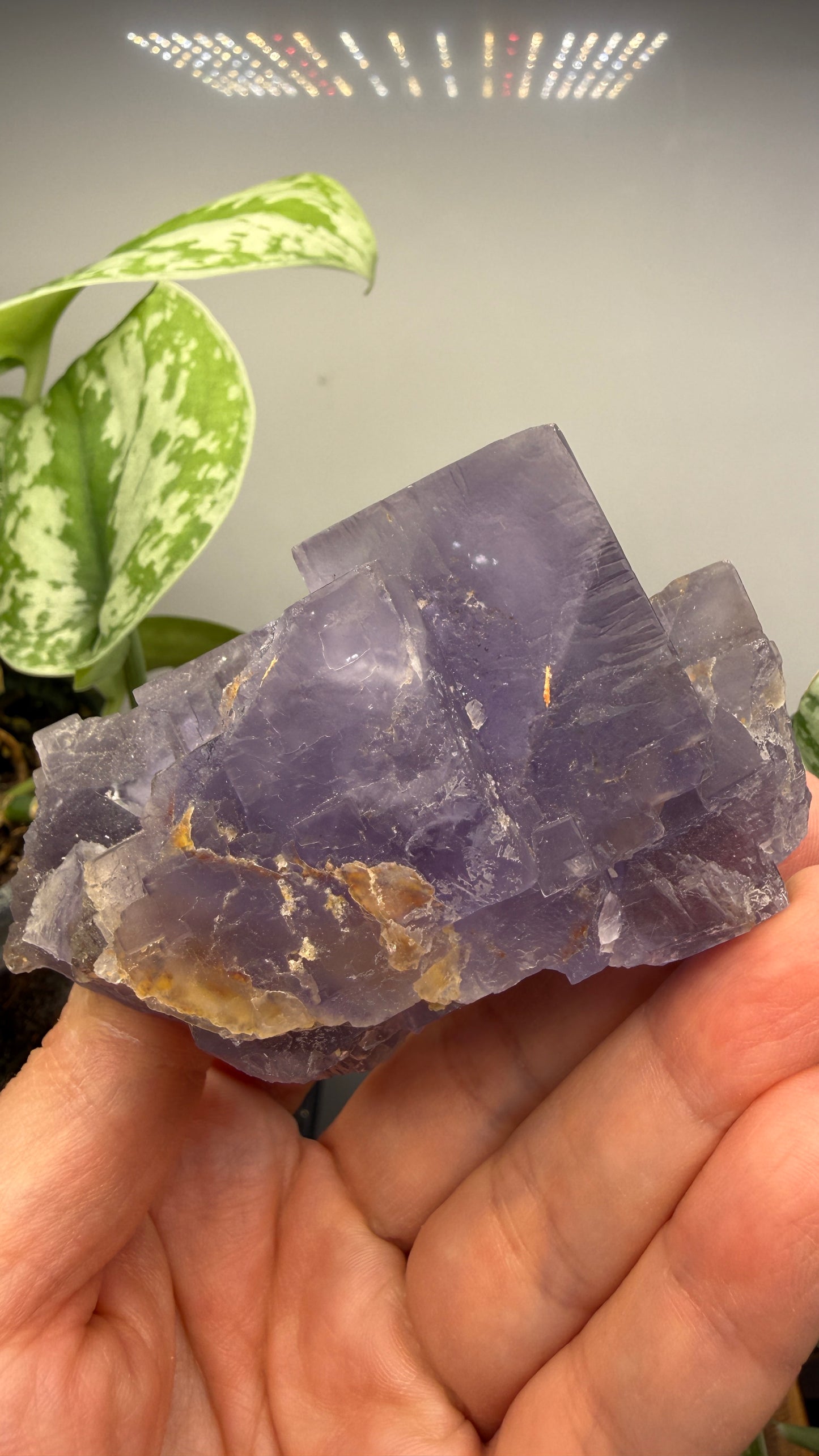 Fluorite- Jebel Tirremi, Taourirt Complex, Taourirt Province, Oriental Region, Morocco