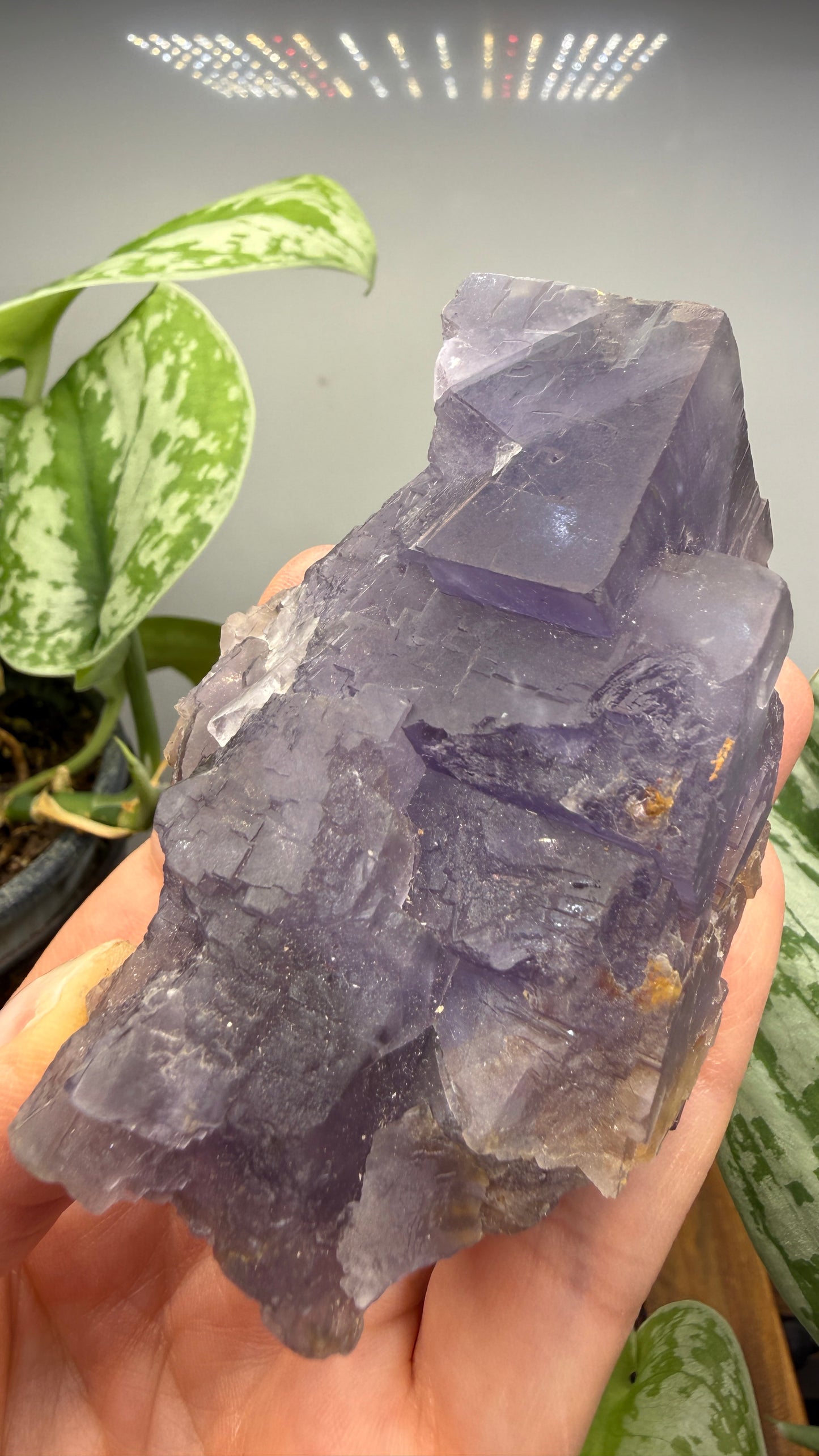 Fluorite- Jebel Tirremi, Taourirt Complex, Taourirt Province, Oriental Region, Morocco