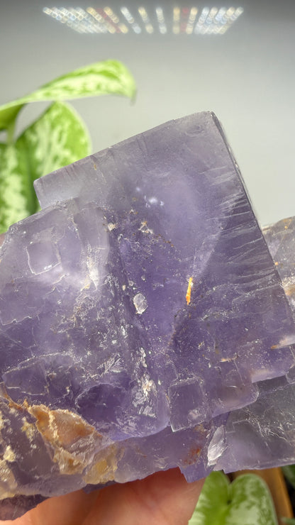 Fluorite- Jebel Tirremi, Taourirt Complex, Taourirt Province, Oriental Region, Morocco