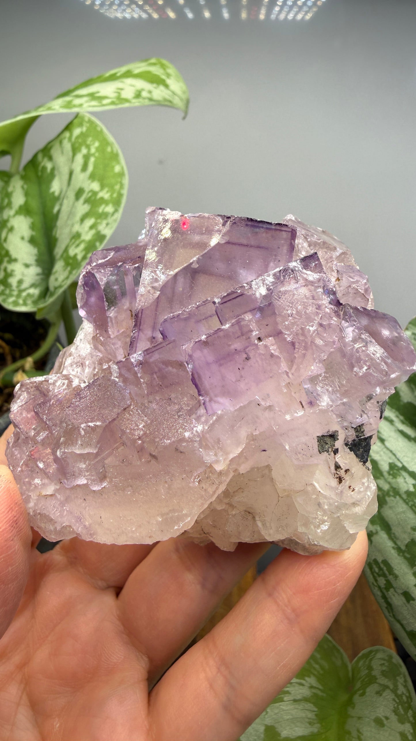 Fluorite- Cave-in-Rock, Hardin County, Illinois, USA
