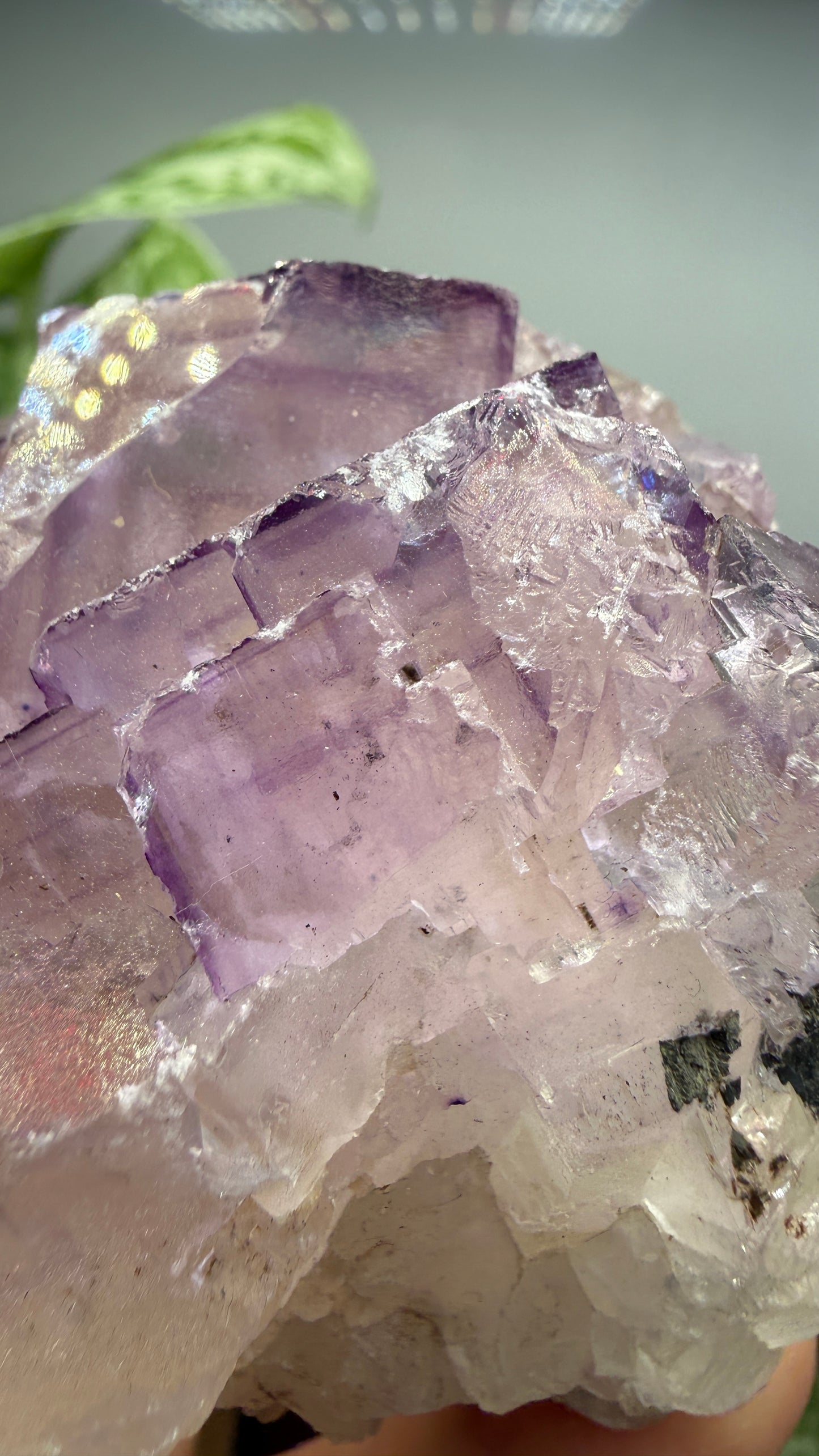 Fluorite- Cave-in-Rock, Hardin County, Illinois, USA