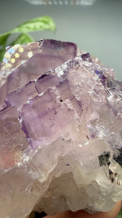 Fluorite- Cave-in-Rock, Hardin County, Illinois, USA