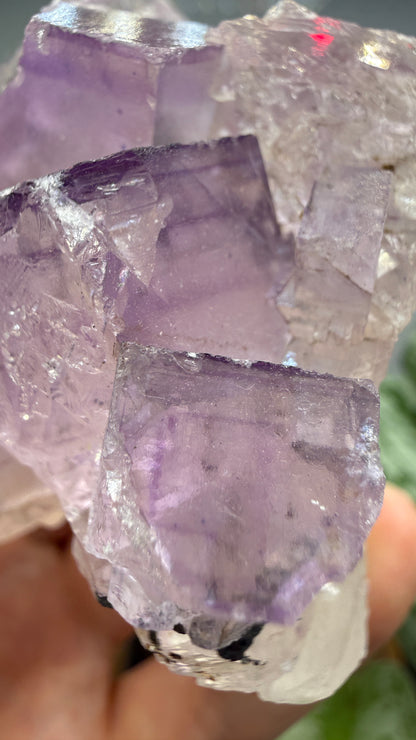 Fluorite- Cave-in-Rock, Hardin County, Illinois, USA
