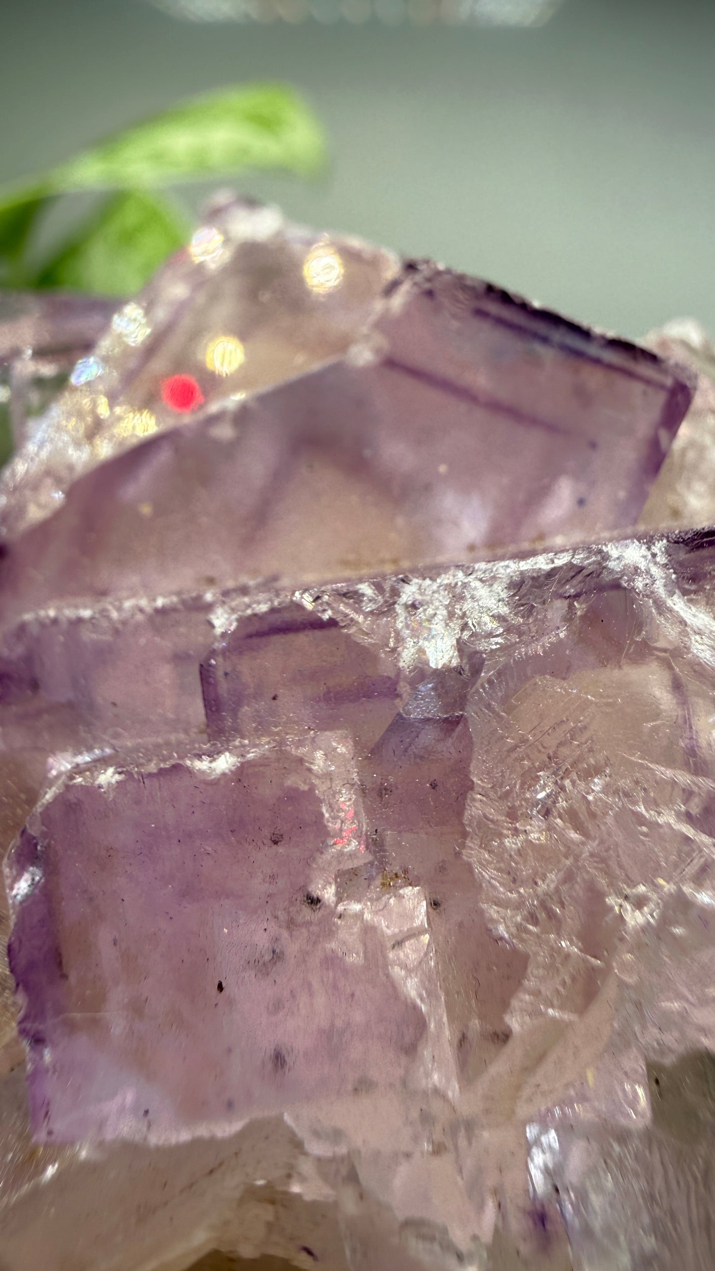Fluorite- Cave-in-Rock, Hardin County, Illinois, USA