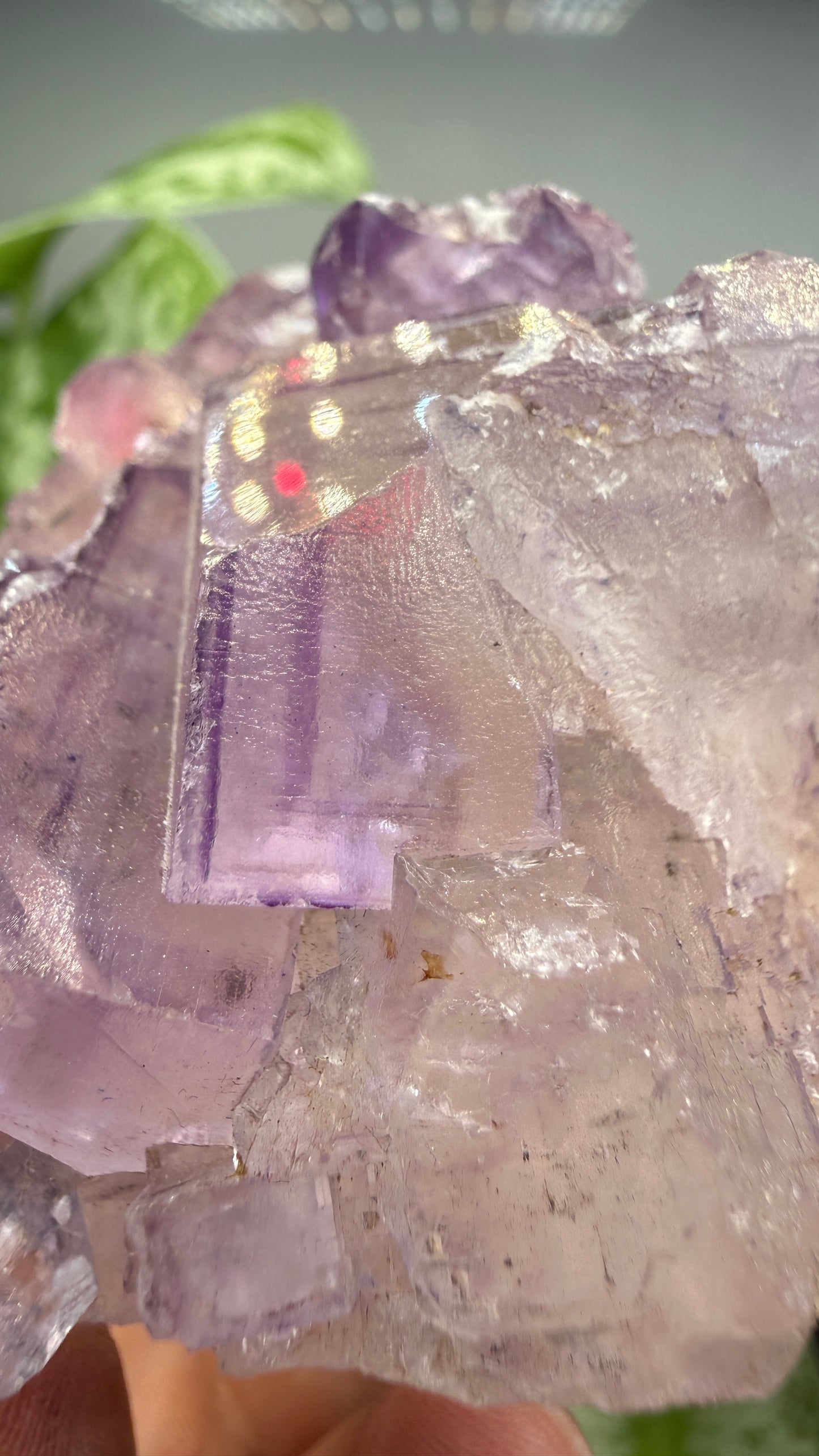 Fluorite- Cave-in-Rock, Hardin County, Illinois, USA