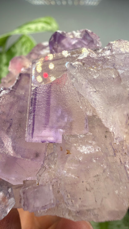 Fluorite- Cave-in-Rock, Hardin County, Illinois, USA