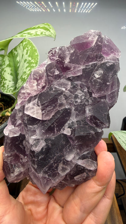 Fluorite- Yiwu, Jinhua, Zhejiang Province, China
