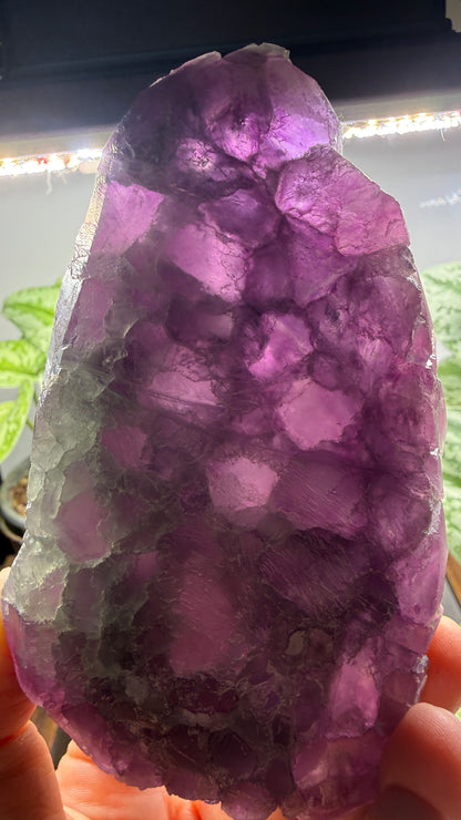 Fluorite- Yiwu, Jinhua, Zhejiang Province, China