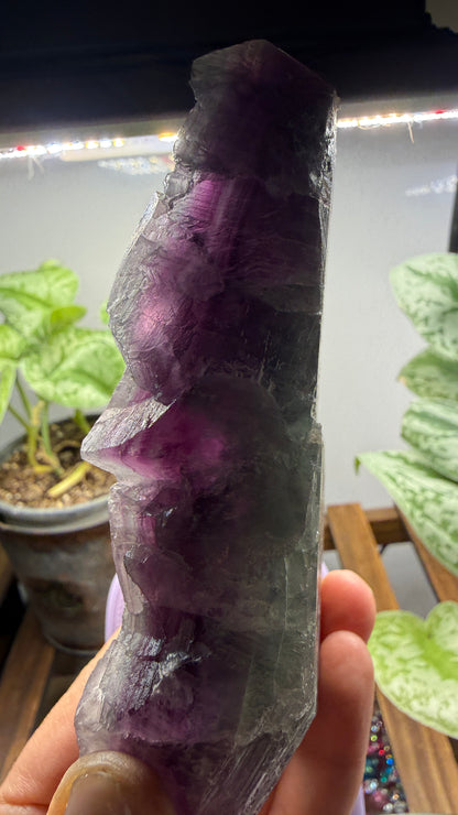 Fluorite- Yiwu, Jinhua, Zhejiang Province, China