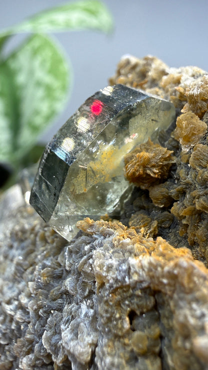 Aquamarine, Muscovite- Pingwu Beryl Mine, Mt Xuebaoding, Mianyang, Sichuan, China