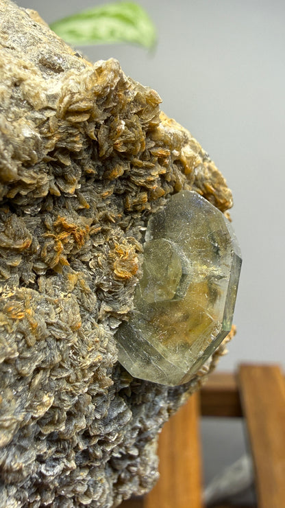 Aquamarine, Muscovite- Pingwu Beryl Mine, Mt Xuebaoding, Mianyang, Sichuan, China