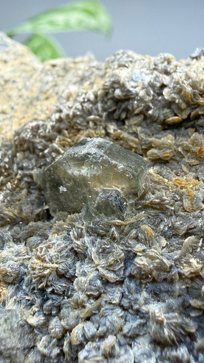 Aquamarine, Muscovite- Pingwu Beryl Mine, Mt Xuebaoding, Mianyang, Sichuan, China
