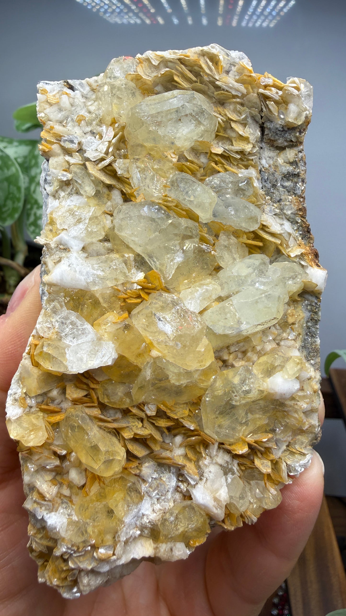 Aquamarine, Muscovite- Pingwu Beryl Mine, Mt Xuebaoding, Mianyang, Sichuan, China