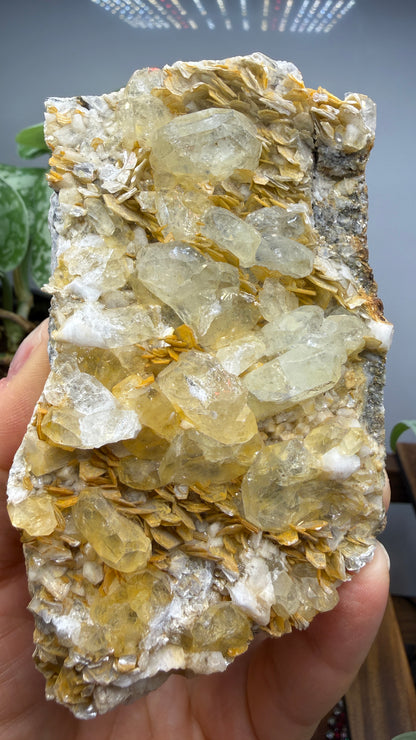 Aquamarine, Muscovite- Pingwu Beryl Mine, Mt Xuebaoding, Mianyang, Sichuan, China