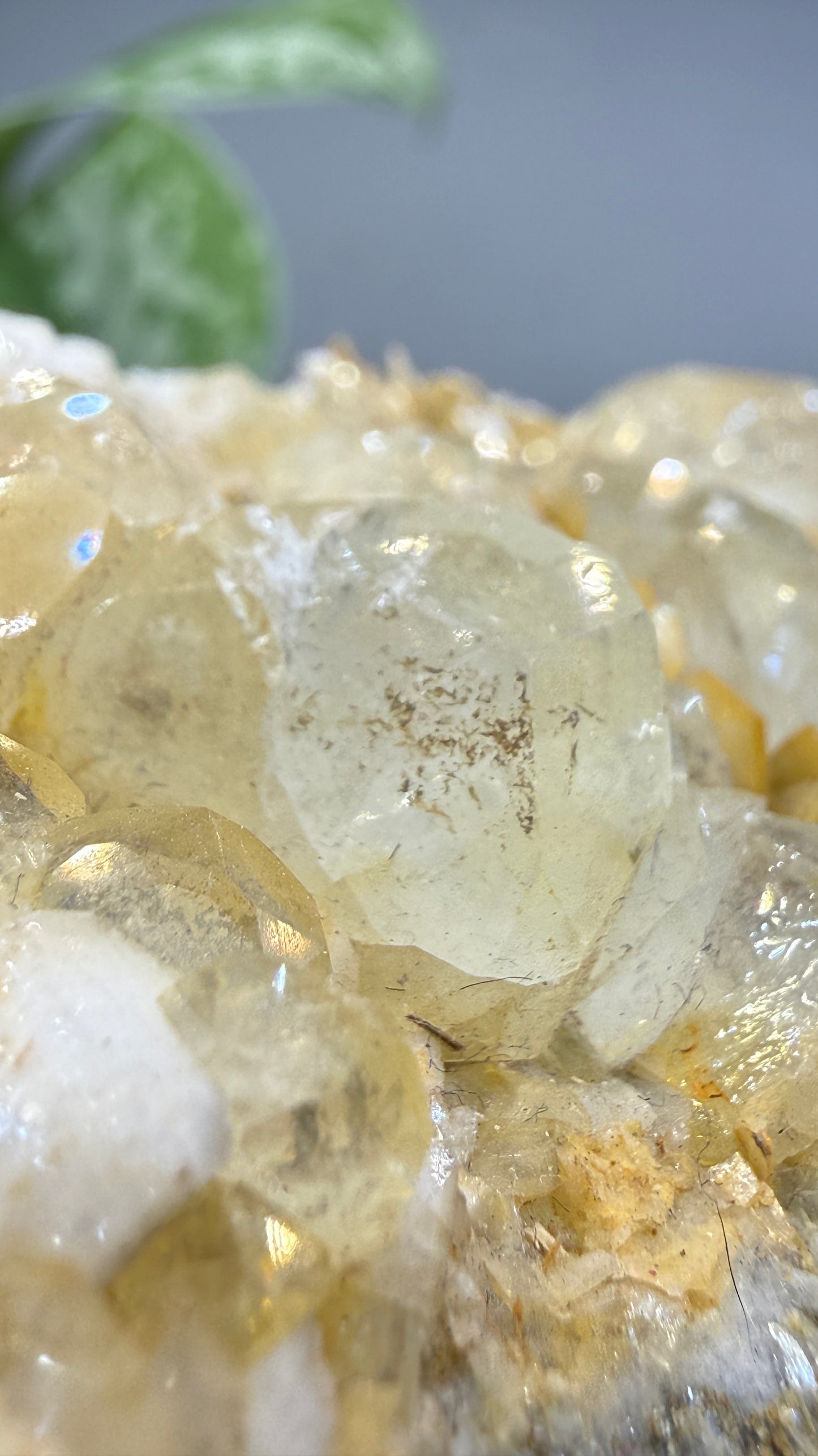Aquamarine, Muscovite- Pingwu Beryl Mine, Mt Xuebaoding, Mianyang, Sichuan, China