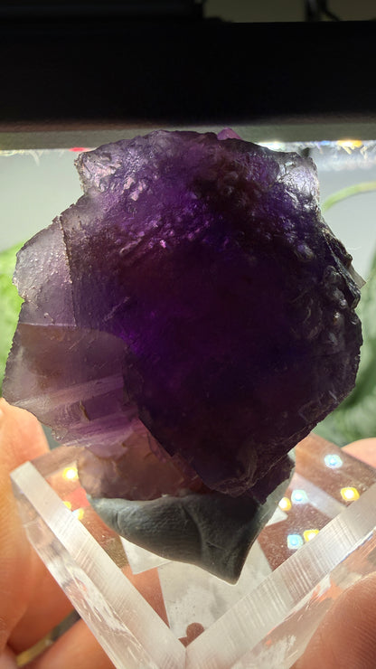 Fluorite (Dissolution)- Cave-in-Rock, Hardin County, Illinois, USA