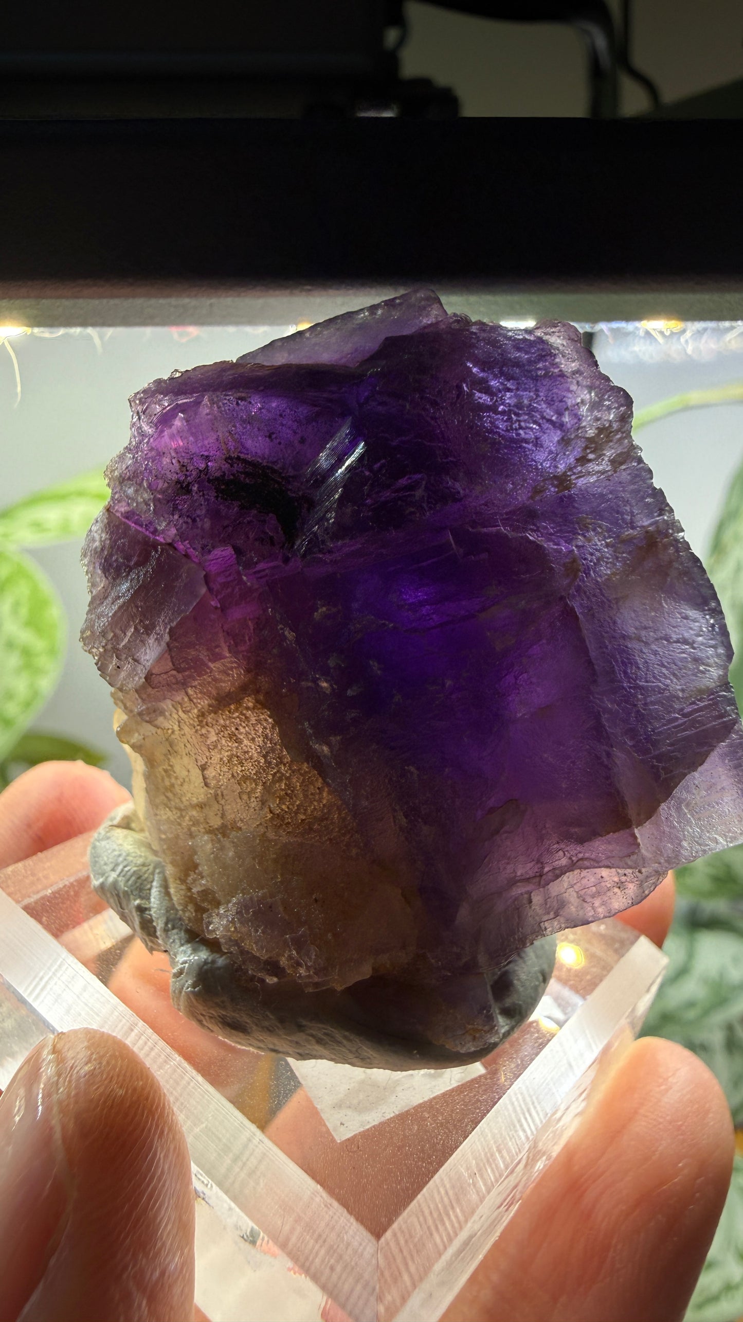 Fluorite (Dissolution)- Cave-in-Rock, Hardin County, Illinois, USA