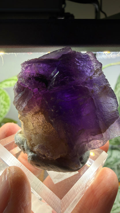Fluorite (Dissolution)- Cave-in-Rock, Hardin County, Illinois, USA