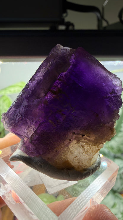 Fluorite (Dissolution)- Cave-in-Rock, Hardin County, Illinois, USA