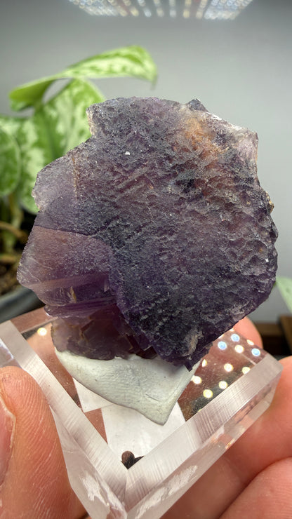 Fluorite (Dissolution)- Cave-in-Rock, Hardin County, Illinois, USA