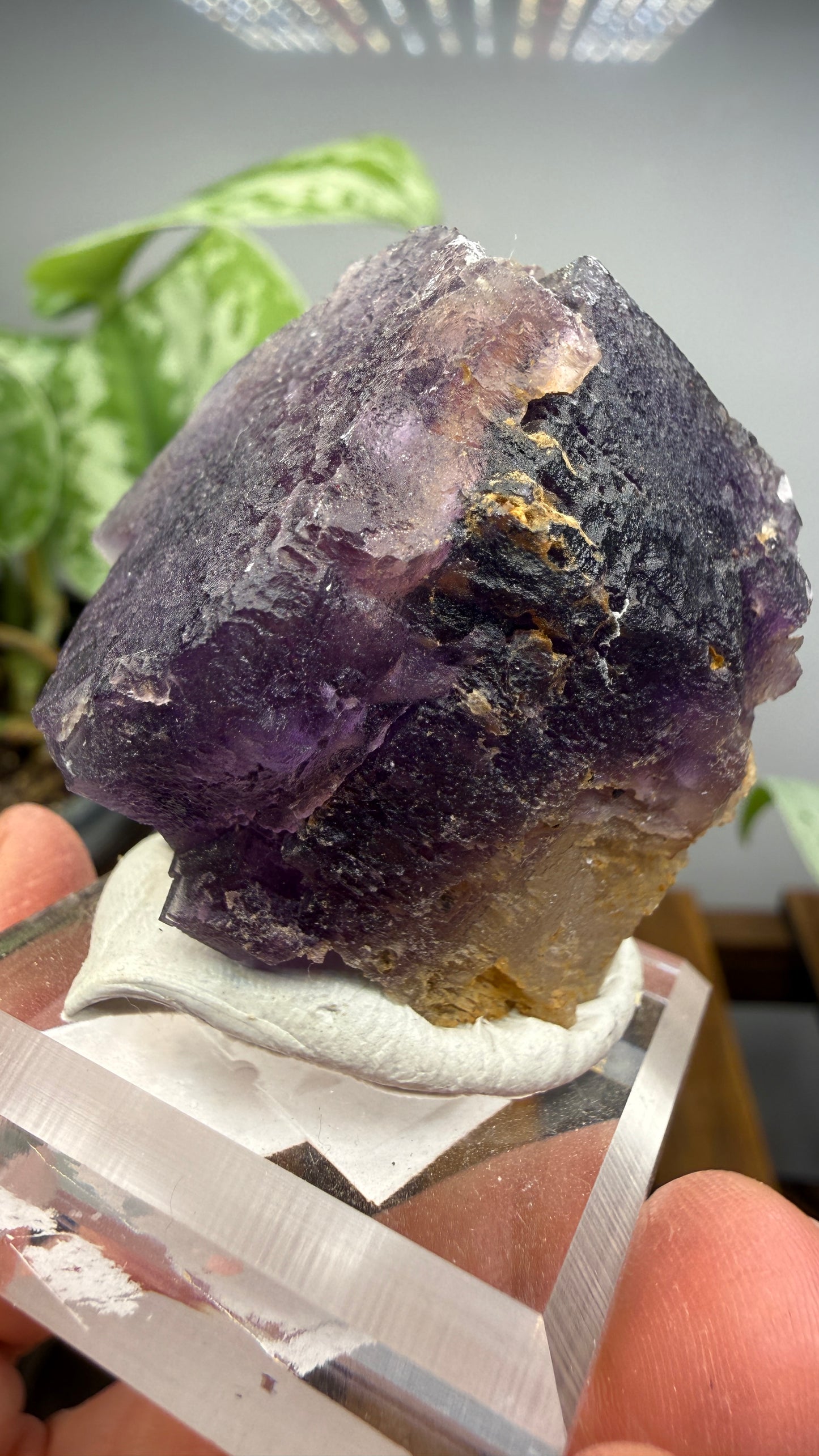Fluorite (Dissolution)- Cave-in-Rock, Hardin County, Illinois, USA