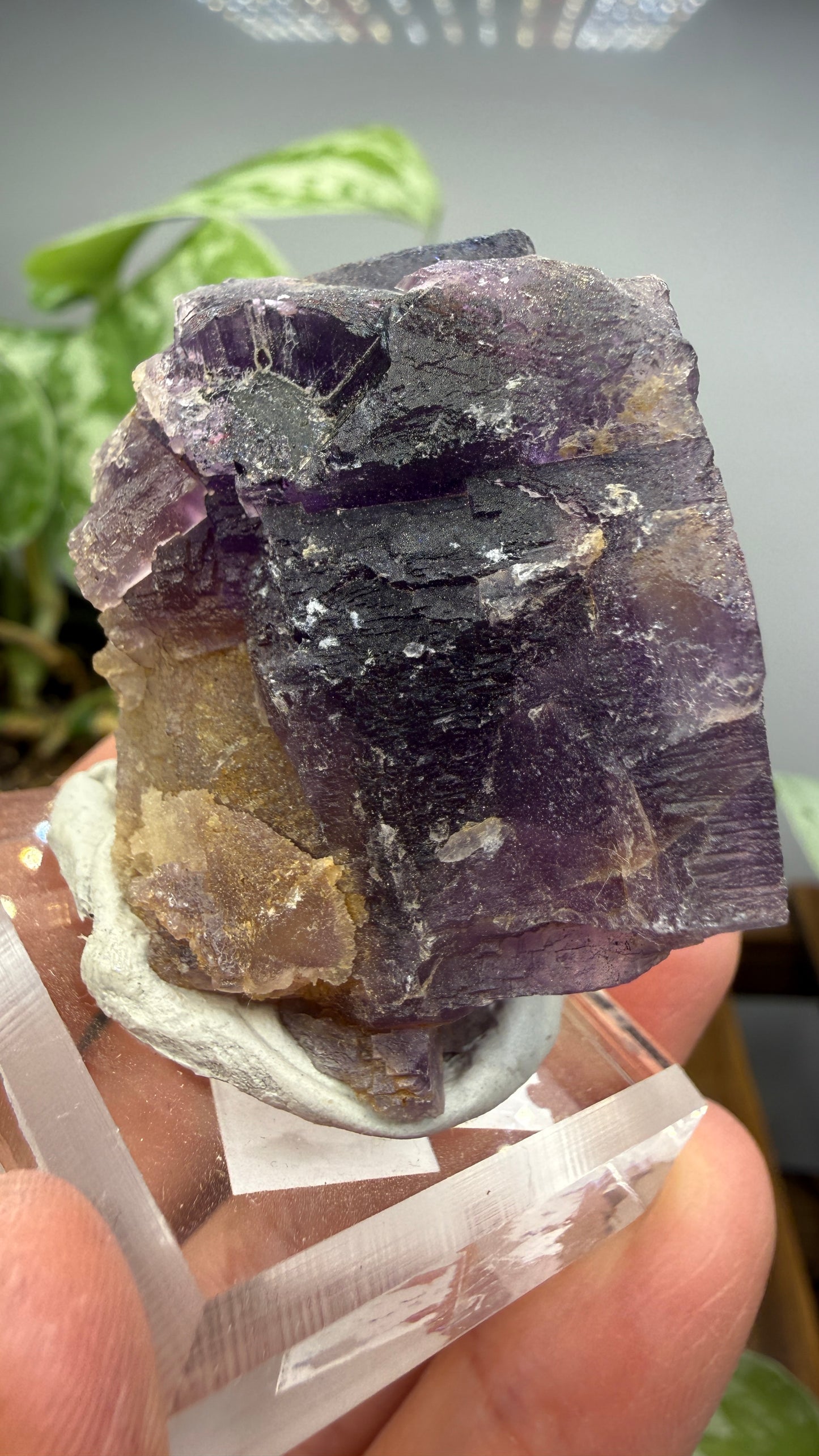 Fluorite (Dissolution)- Cave-in-Rock, Hardin County, Illinois, USA