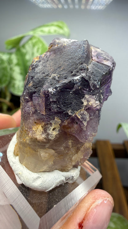 Fluorite (Dissolution)- Cave-in-Rock, Hardin County, Illinois, USA