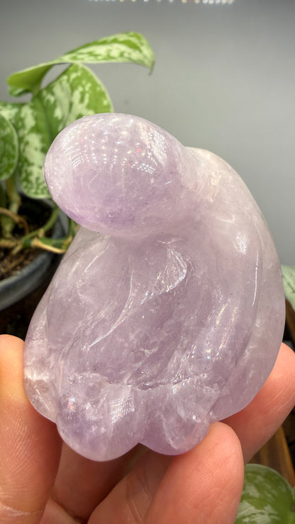 Amethyst Octopus