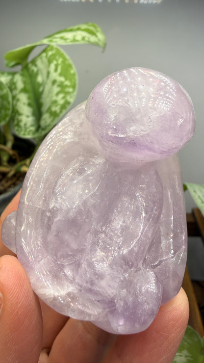 Amethyst Octopus