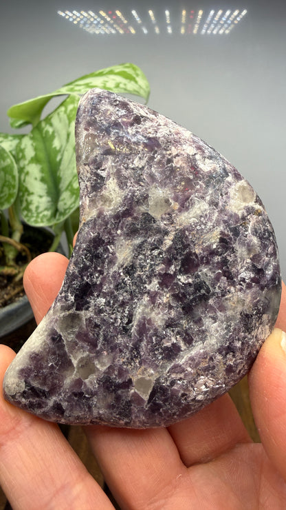 Lepidolite Crescent Moon- 3.1 inches- Brazil