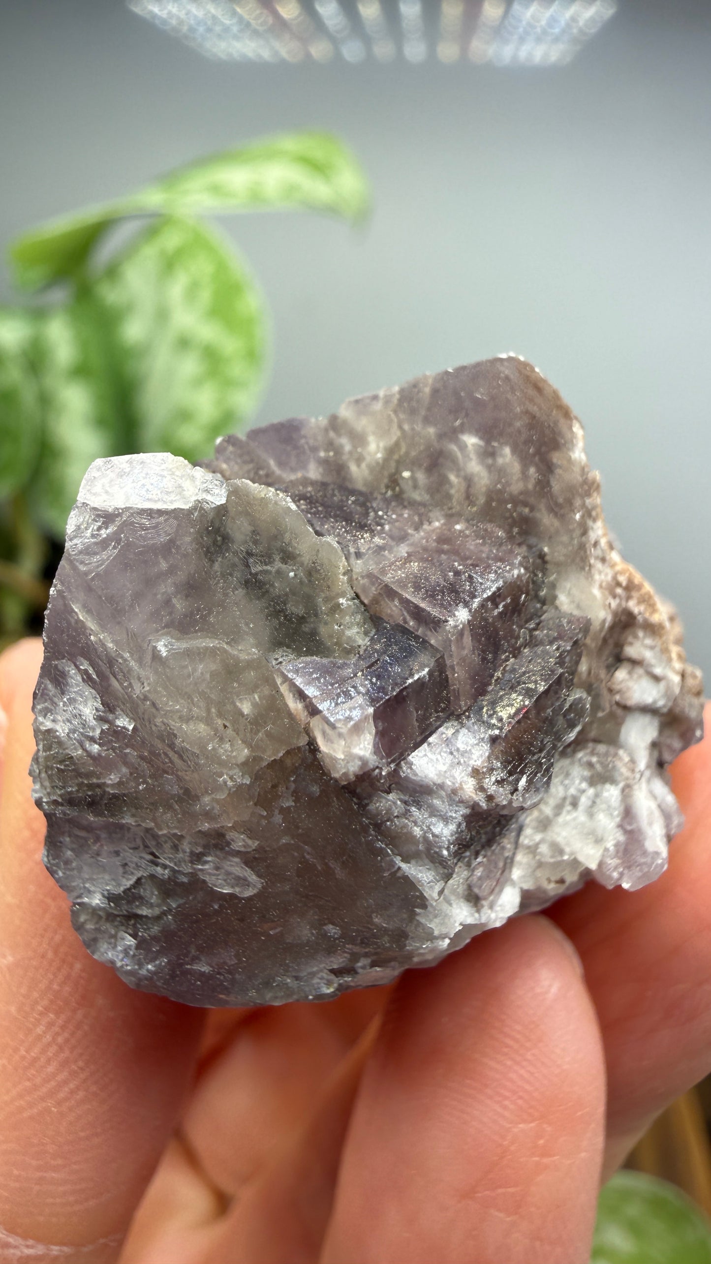 Purple Aragonite- Minglanilla, Cuenca, Castile-La Mancha, Spain