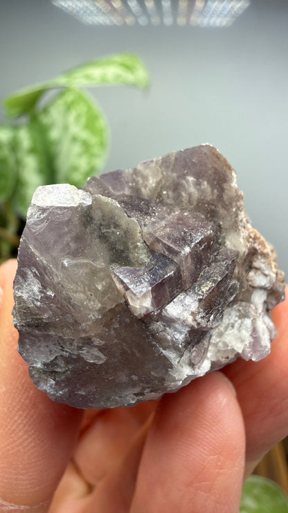 Purple Aragonite- Minglanilla, Cuenca, Castile-La Mancha, Spain