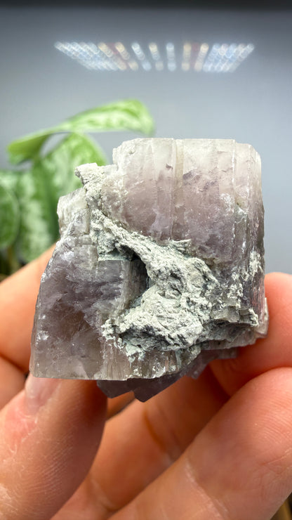 Purple Aragonite- Minglanilla, Cuenca, Castile-La Mancha, Spain