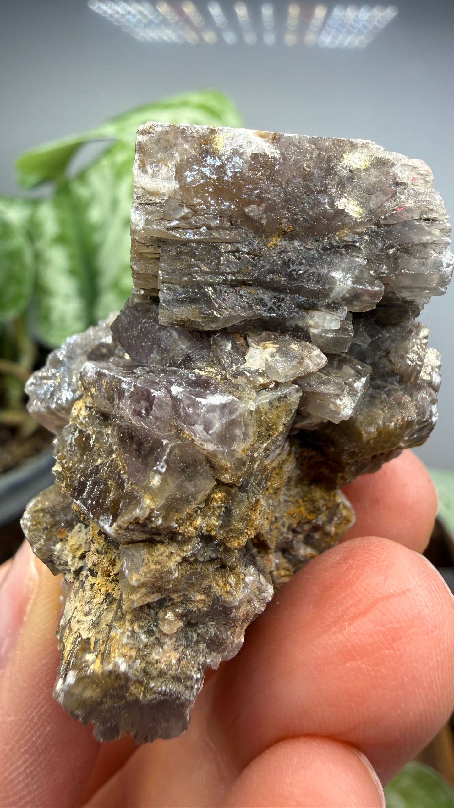 Purple Aragonite- Minglanilla, Cuenca, Castile-La Mancha, Spain