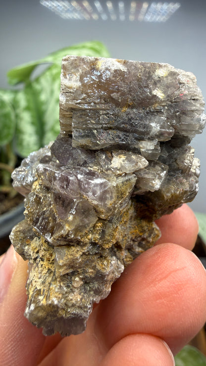 Purple Aragonite- Minglanilla, Cuenca, Castile-La Mancha, Spain