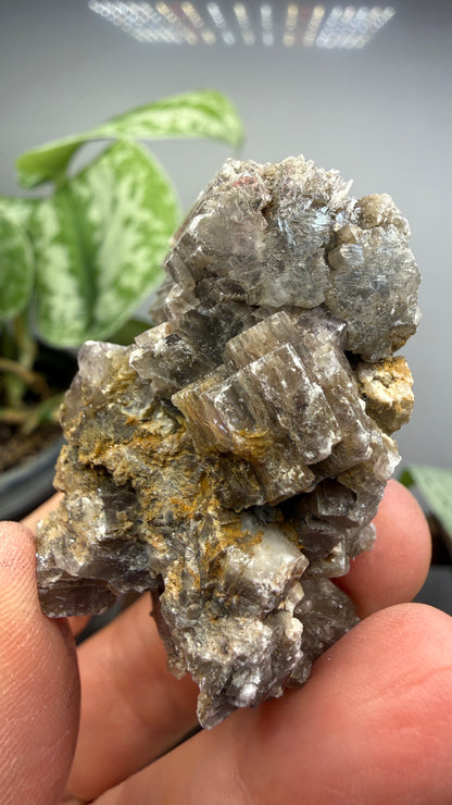 Purple Aragonite- Minglanilla, Cuenca, Castile-La Mancha, Spain