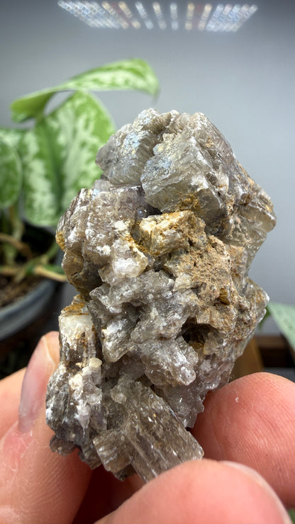 Purple Aragonite- Minglanilla, Cuenca, Castile-La Mancha, Spain
