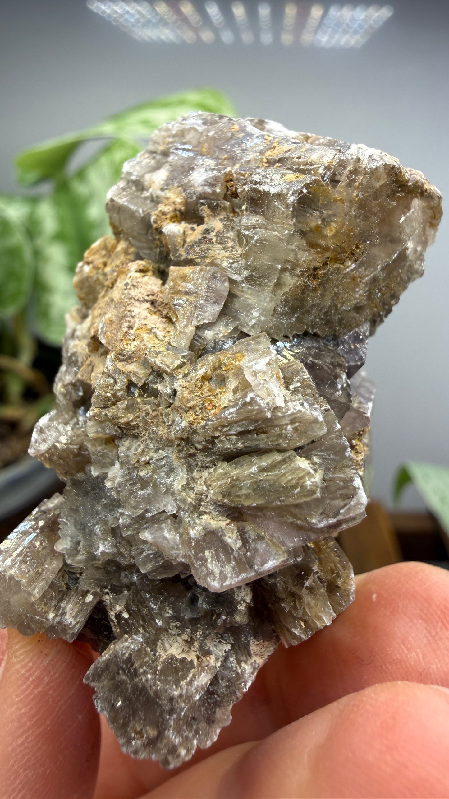 Purple Aragonite- Minglanilla, Cuenca, Castile-La Mancha, Spain