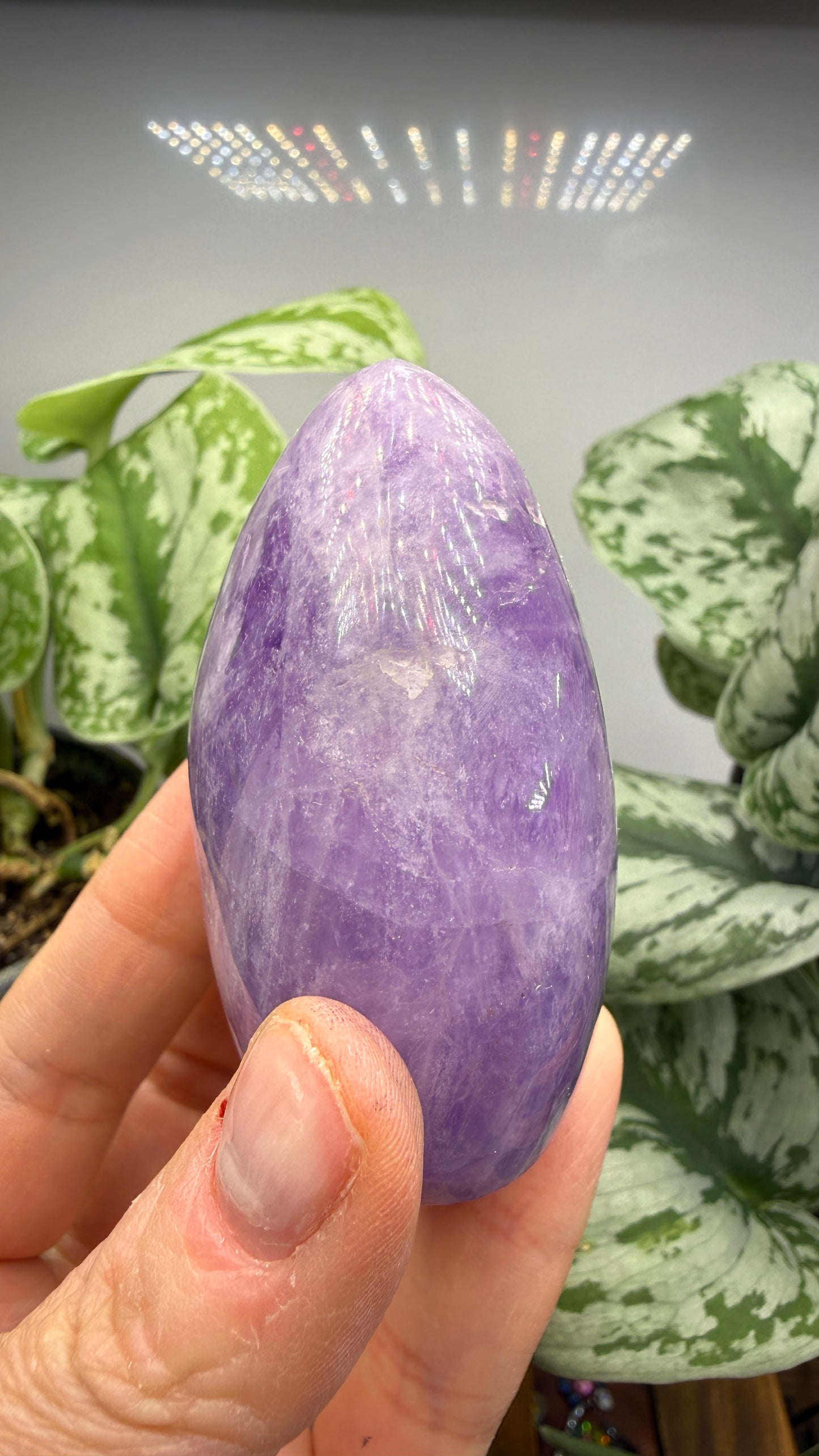 Amethyst Freeform- 2.64 inches