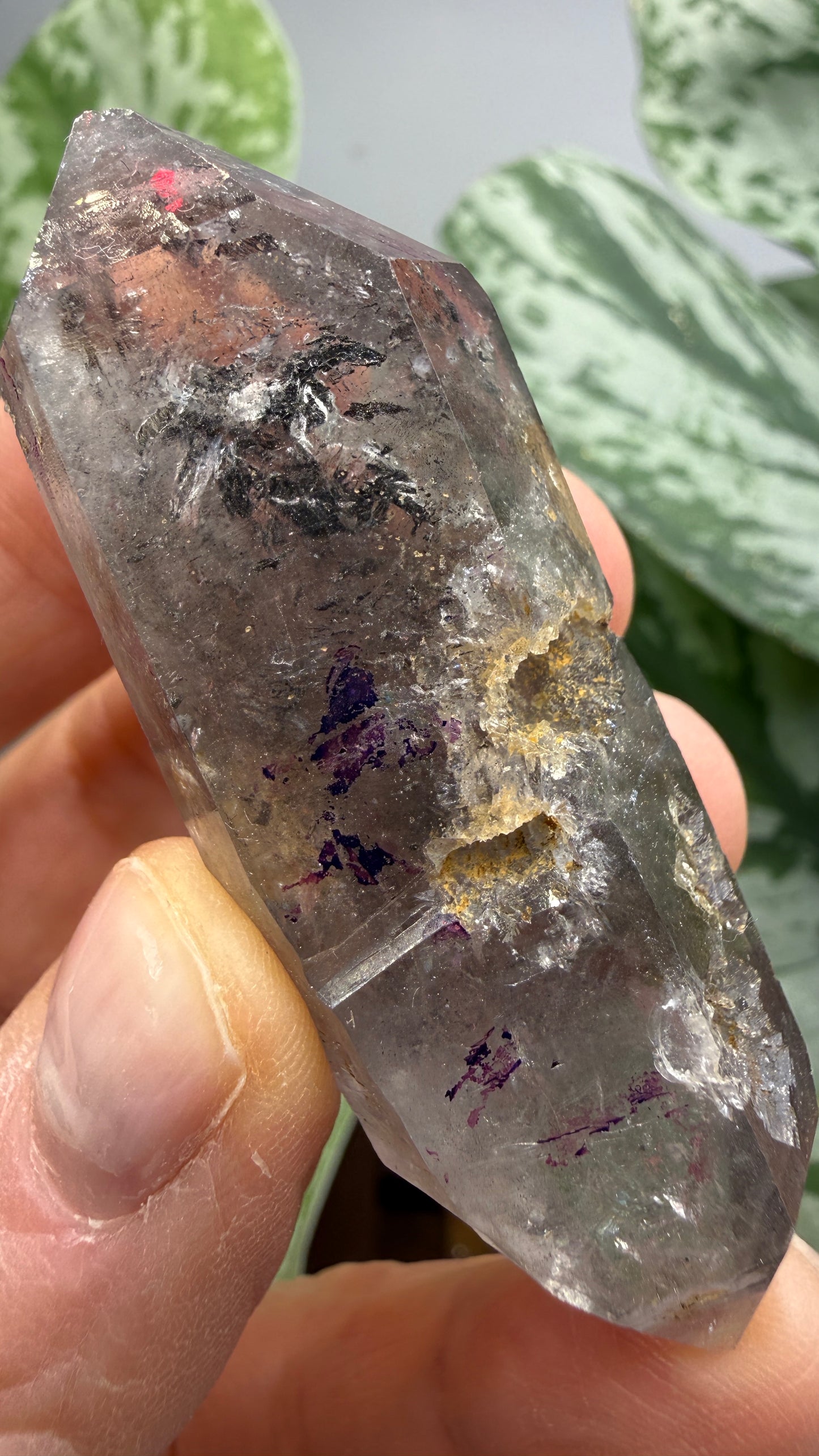 Quartz Enhydro (fluid and carbonaceous inclusions)