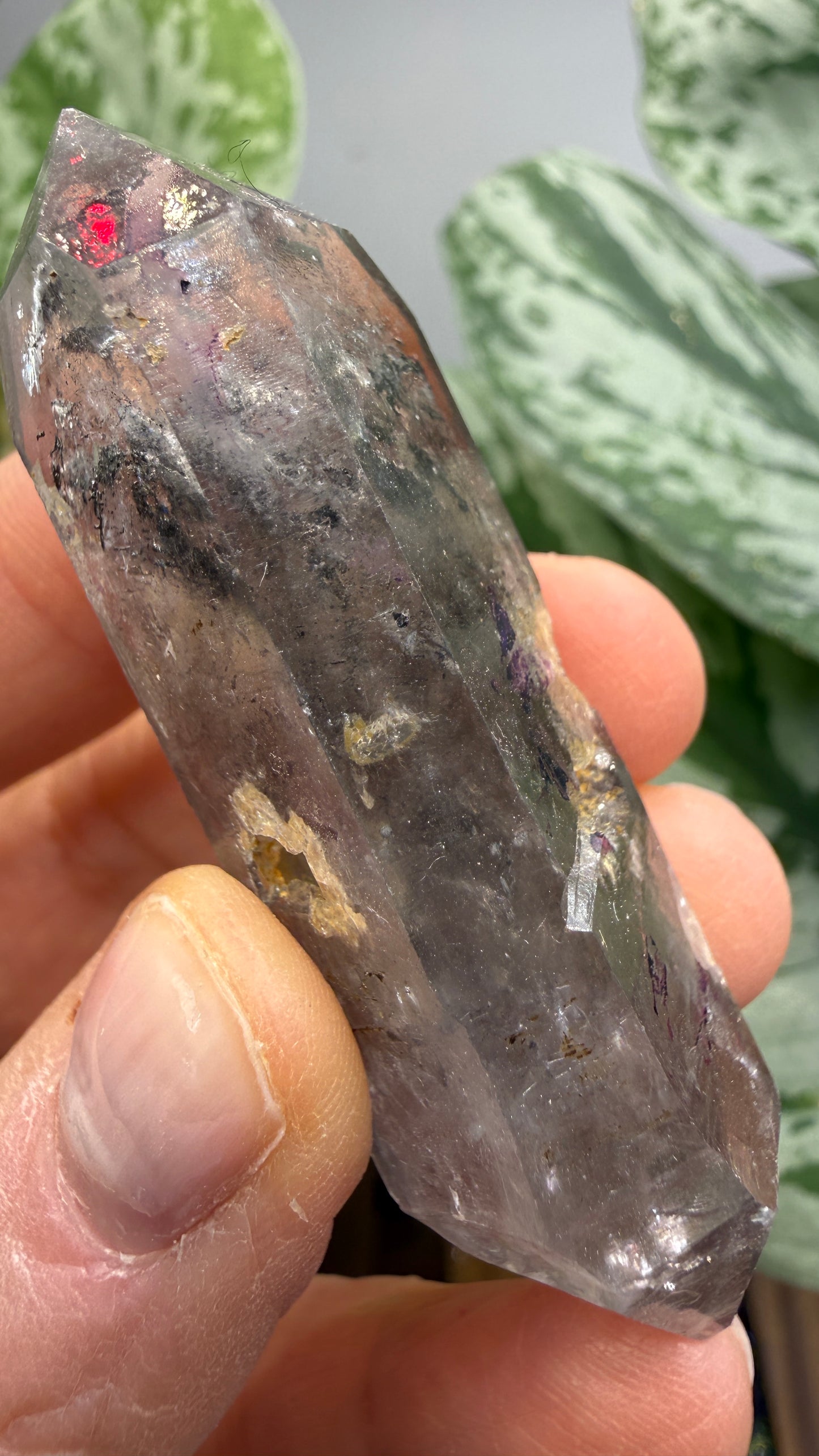 Quartz Enhydro (fluid and carbonaceous inclusions)