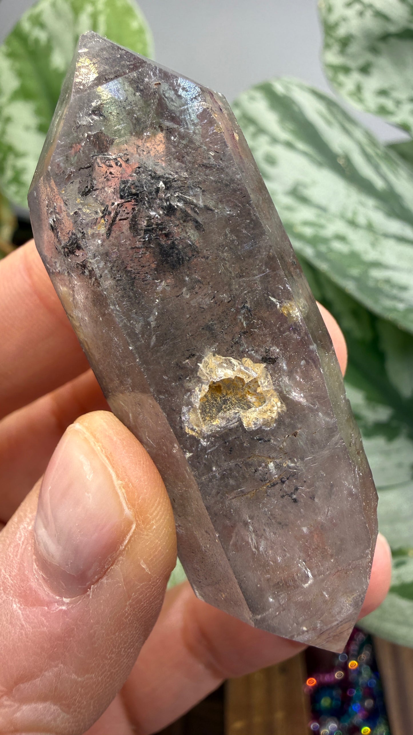 Quartz Enhydro (fluid and carbonaceous inclusions)