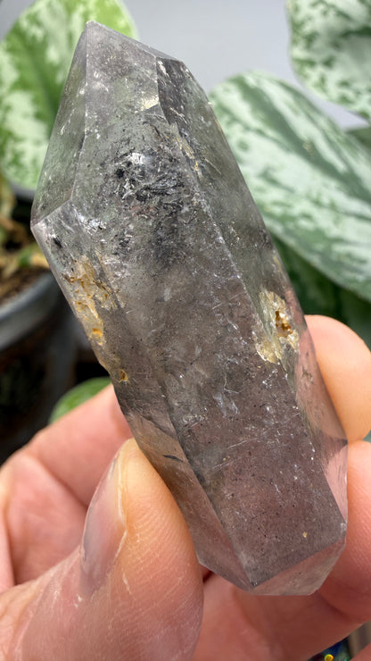 Quartz Enhydro (fluid and carbonaceous inclusions)