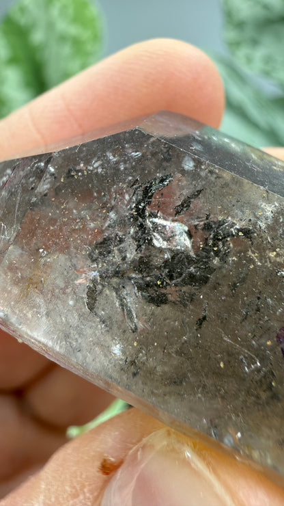 Quartz Enhydro (fluid and carbonaceous inclusions)