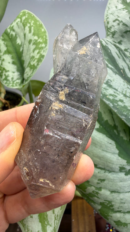 Quartz Enhydro (fluid and carbonaceous inclusions)