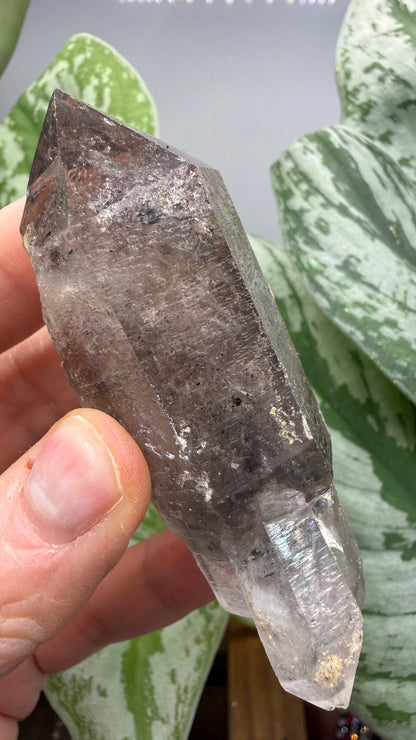 Quartz Enhydro (fluid and carbonaceous inclusions)