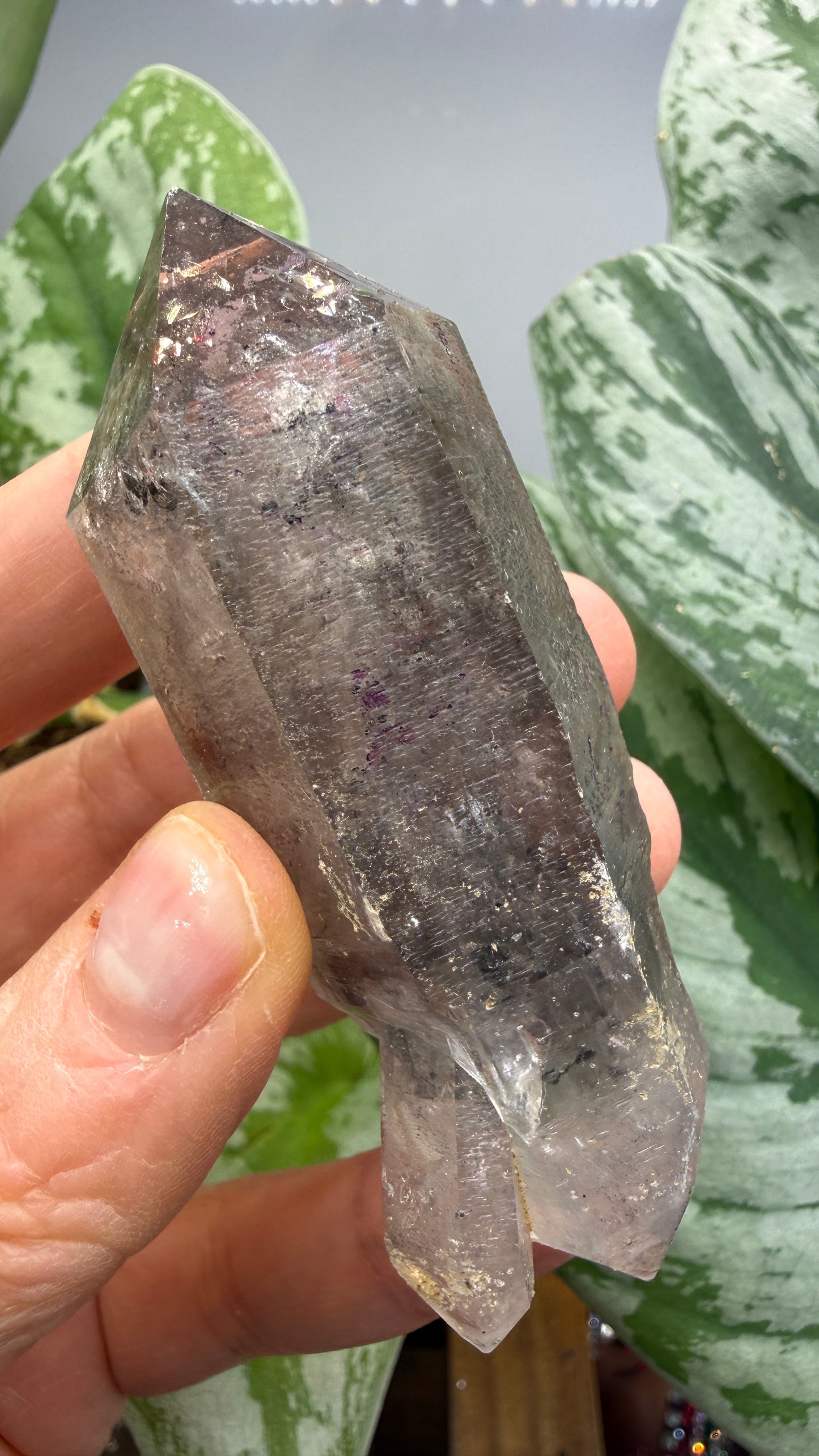 Quartz Enhydro (fluid and carbonaceous inclusions)