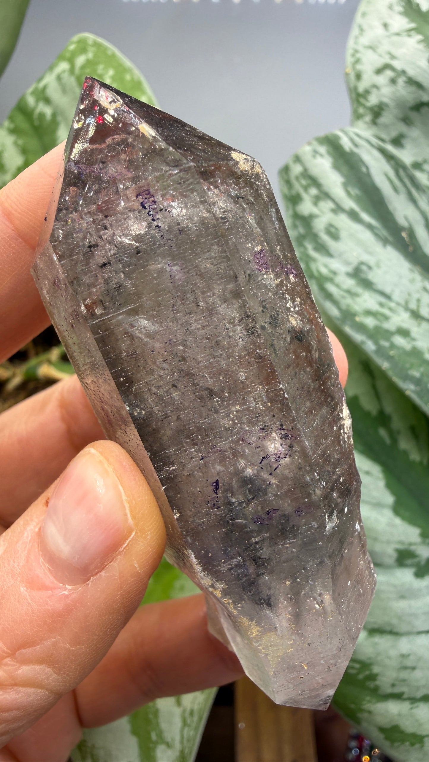 Quartz Enhydro (fluid and carbonaceous inclusions)